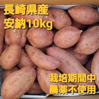 長崎県産さつまいも安納10kg栽培期間中農薬不使用(野菜)