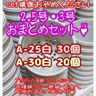 プラ鉢50個おまとめセット♪【A-25×30個・A-30×20個】プレステラ多肉(プランター)