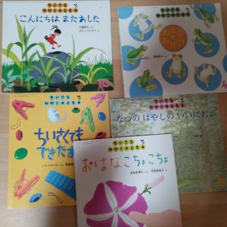 中古　ちいさなかがくのとも5冊(絵本/児童書)