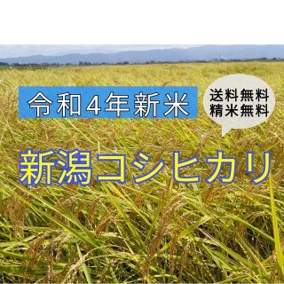 福笑い様専用　新潟コシヒカリ(米/穀物)