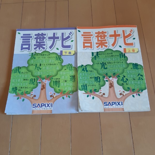 超目玉 サピックス SAPIX 言葉ナビ 上下セット 国語 - 語学/参考書