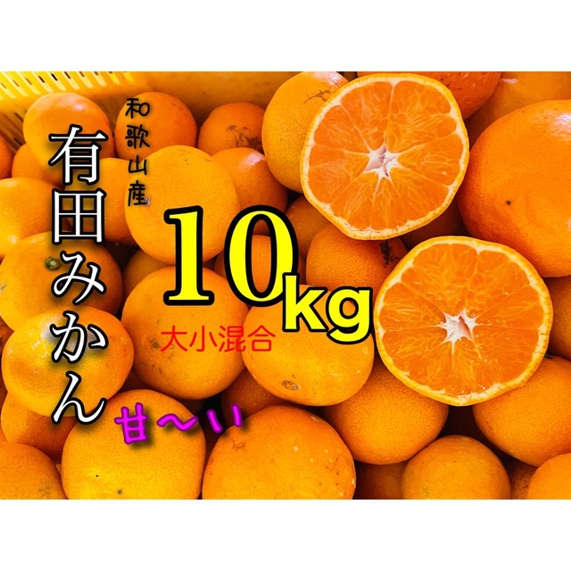 和歌山産有田みかん大小ランダム混合10キロ 食品/飲料/酒の食品(フルーツ)の商品写真