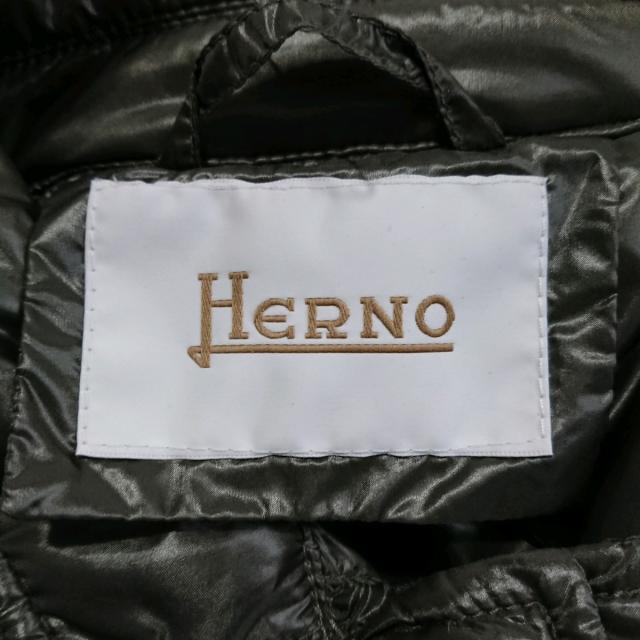 HERNO(ヘルノ)のヘルノ ダウンジャケット サイズ44 L美品  レディースのジャケット/アウター(ダウンジャケット)の商品写真