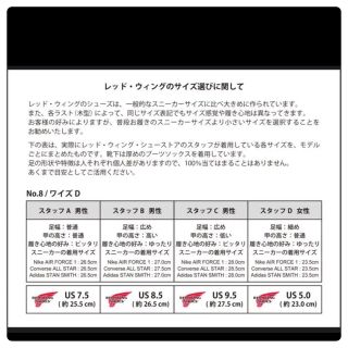 REDWING - 【安心品質0989】茶芯8179レッドウイング送料無料8.5EE