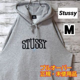エバニュー 【ステューシー】正規・未使用品 刺繍アーチロゴ アッシュ