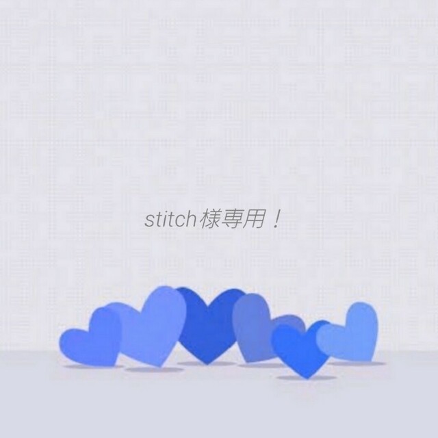 stitch様専用ページ！ 新品在庫有り - ilborgobandb.it