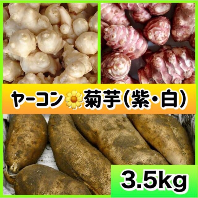 ❤️無農薬『ヤーコン&菊芋（白・紫）』組合せ（3.5kg） 食品/飲料/酒の食品(野菜)の商品写真