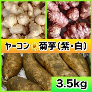 ❤️無農薬『ヤーコン&菊芋（白・紫）』組合せ（3.5kg）(野菜)