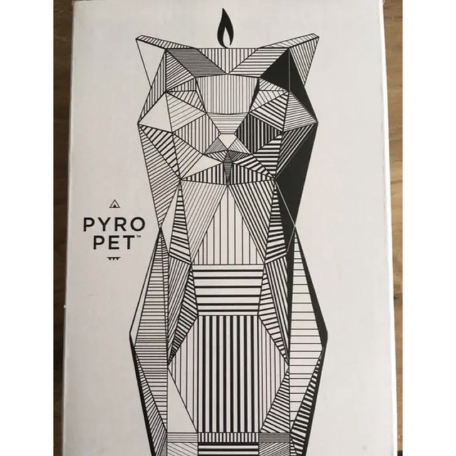 Kisa Candle PYPO PET エンタメ/ホビーの美術品/アンティーク(その他)の商品写真