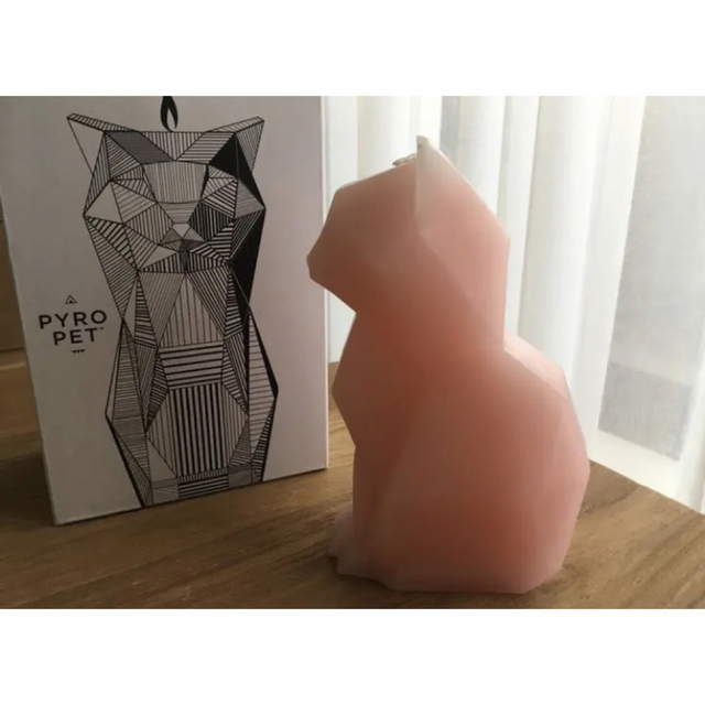 Kisa Candle PYPO PET エンタメ/ホビーの美術品/アンティーク(その他)の商品写真