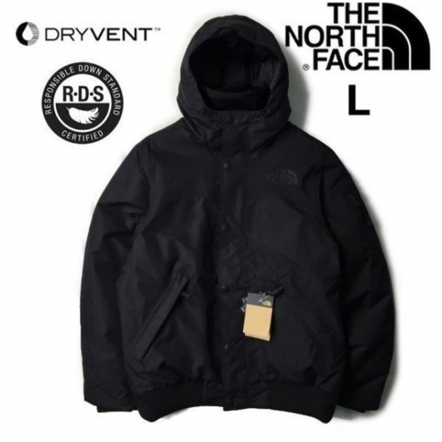 THE NORTH FACEダウンジャケット日本未発売希少グースUSサイズ(L)