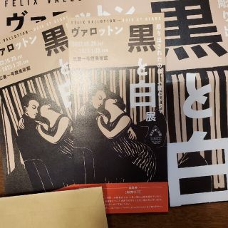 ヴァロットン展 黒と白　～2023.1.29 三菱一号館美術館 2枚 チケット(美術館/博物館)