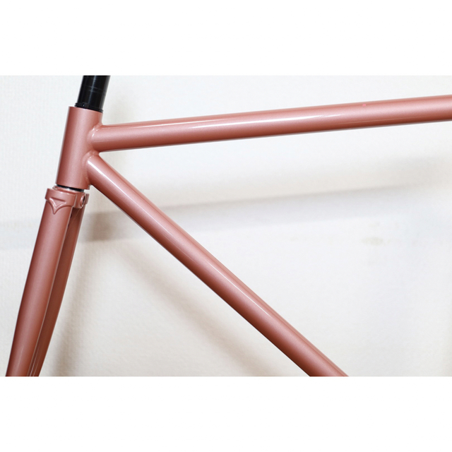 オーダー カラー SURLY steamroller サーリー スチームローラー (訳