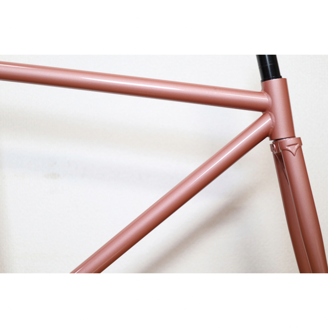 オーダー カラー SURLY steamroller サーリー スチームローラー (訳