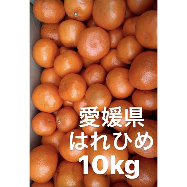 愛媛県産　はれひめ　柑橘　10kg 食品/飲料/酒の食品(フルーツ)の商品写真