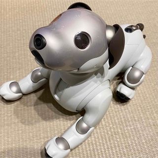 ▼最終値下げ✦SONYアイボ ERS-210✦ ロボット犬【ジャンク品】