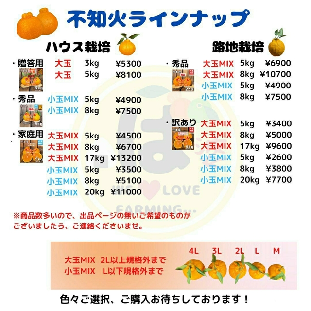 不知火 家庭用 小玉MIX5kg(デコポン) 食品/飲料/酒の食品(フルーツ)の商品写真