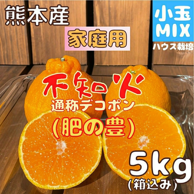 不知火 家庭用 小玉MIX5kg(デコポン) 食品/飲料/酒の食品(フルーツ)の商品写真