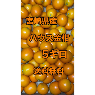 宮崎県産　ハウス金柑　箱込5キロ　サイズS〜Mクラス(フルーツ)
