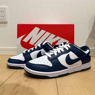 ナイキ(NIKE)のNIKE DUNK Valerian Blue ダンク ヴァレリアンブルー(スニーカー)