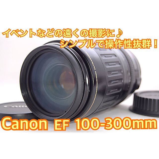 望遠レンズ Canon キヤノン 90-300mm 迫力の300㎜！LENS - レンズ(ズーム)