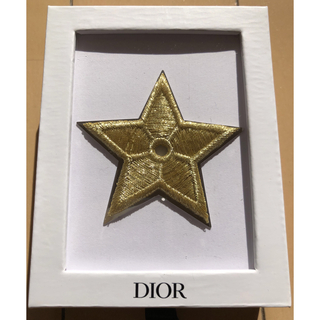 ディオール(Christian Dior) シャツ ブローチ/コサージュの通販 4点 