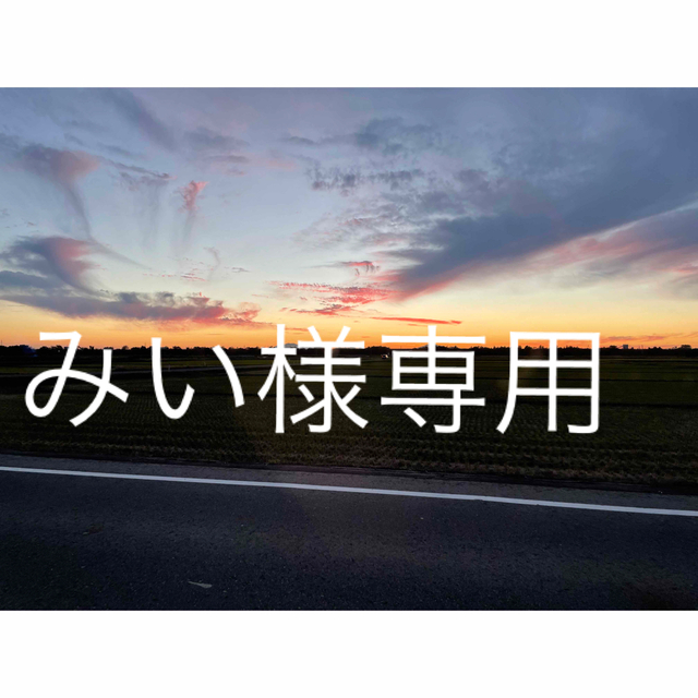 代引き手数料無料 みい その他 - jet-arco.com