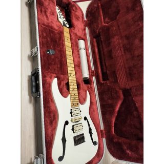 アイバニーズ(Ibanez)のIbanez アイバニーズ『PGM301』2008年購入(エレキギター)