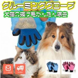 格安お買い得♡愛犬愛猫が安心するあなたの手で優しく愛情を込めてグルーミング(犬)