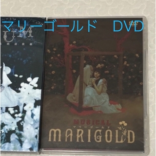 マリーゴールド　DVD(舞台/ミュージカル)