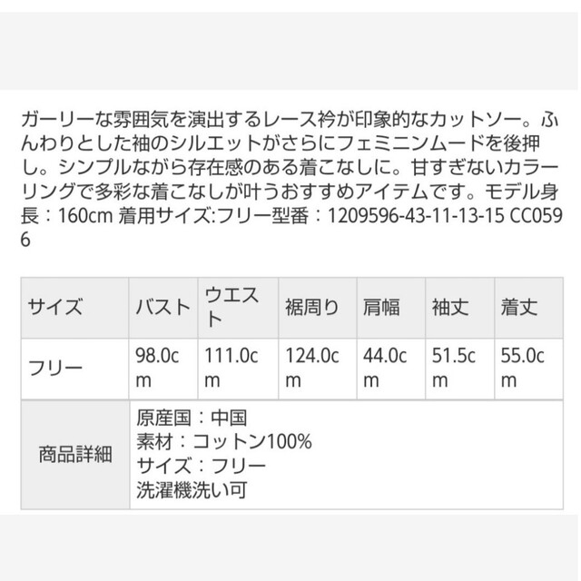 SM2(サマンサモスモス)のサマンサモスモス レース襟カットソー キナリ レディースのトップス(カットソー(長袖/七分))の商品写真