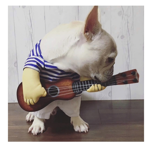 犬　猫　服　ギター　コスプレ ハンドメイドのペット(ペット服/アクセサリー)の商品写真