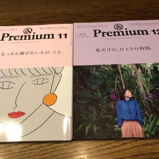 マガジンハウス(マガジンハウス)のアンドプレミアム 2022 11月号✤12月号セット(住まい/暮らし/子育て)