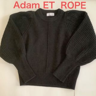 アダムエロペ(AER ADAM ET ROPE)のAdam ET  ROPE(ニット/セーター)