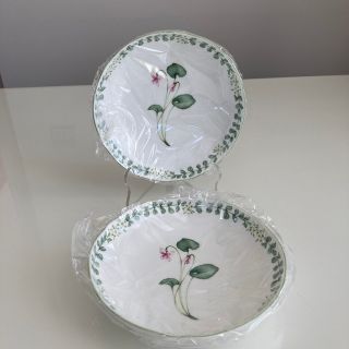 ノリタケ(Noritake)の新品　ノリタケイングリッシュハーブズ　ディーププレート2枚(食器)