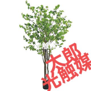 光触媒 人工観葉植物 ウォールグリーン フェイク フラワー ドウダン210 ...