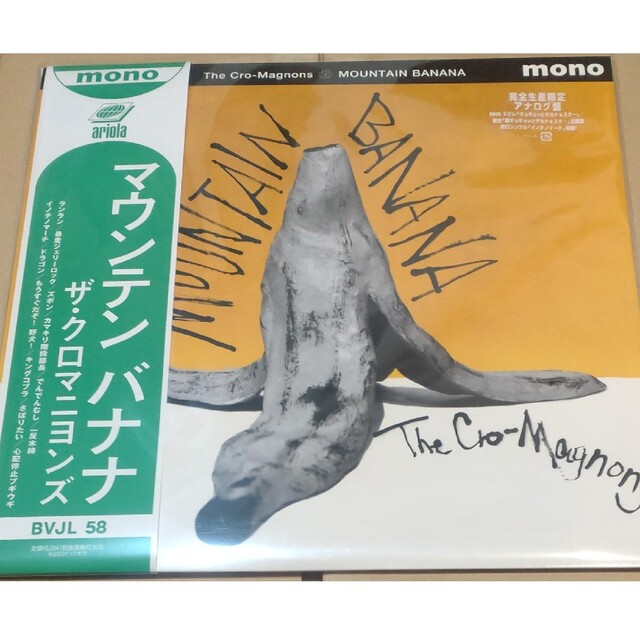 レコード　MOUNTAIN BANANA マウンテンバナナ　クロマニヨンズ　LP