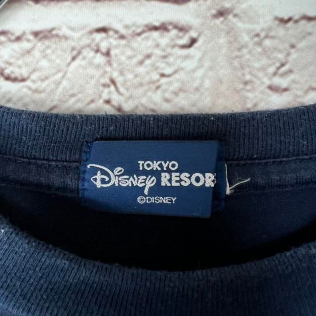 Disney(ディズニー)のDisney Resort　ディズニー　CHIP&DALE　Tシャツ レディースのトップス(Tシャツ(半袖/袖なし))の商品写真