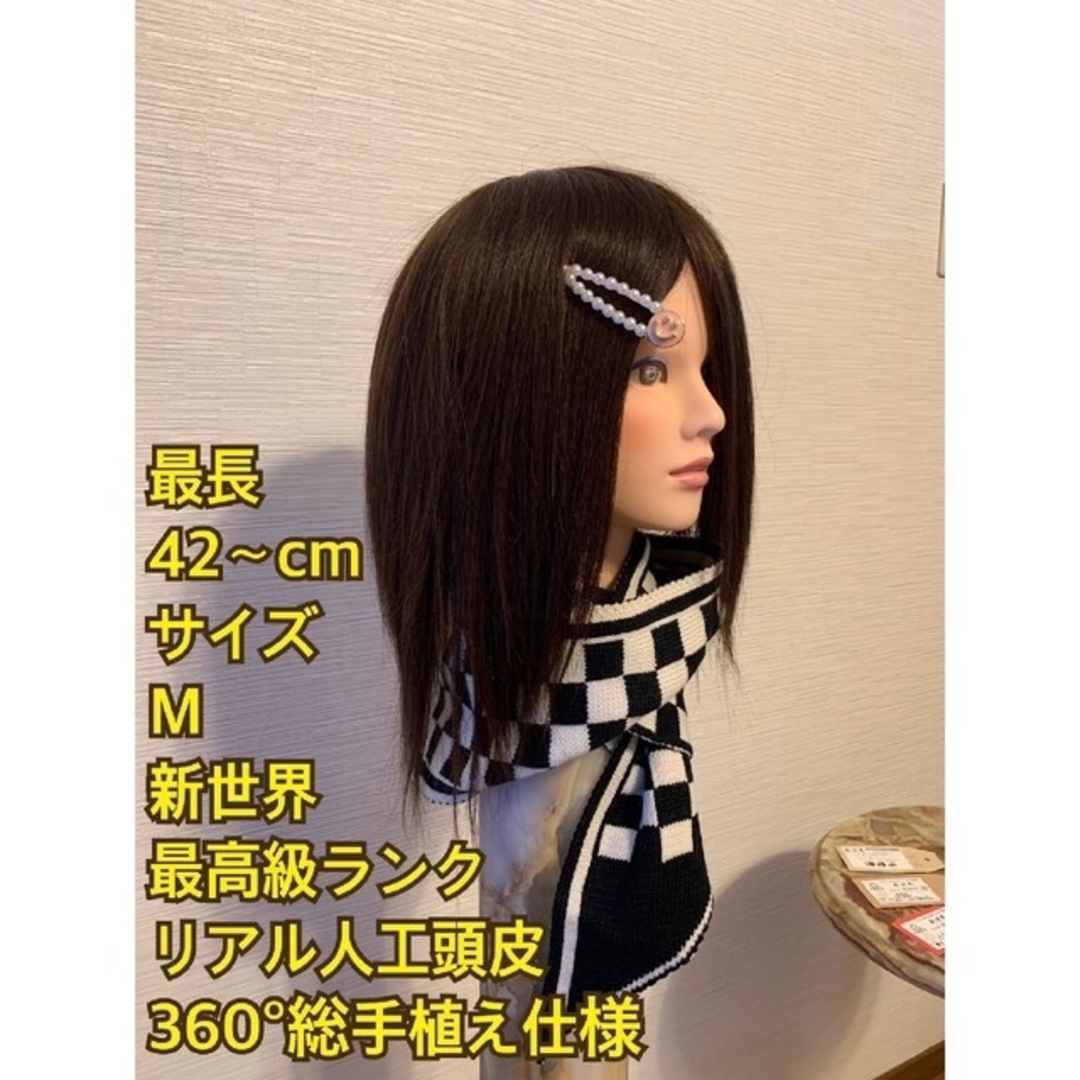 期間限定特別価格 レミー人毛100%ウィッグ✨シルクスキンI型地肌✨筧