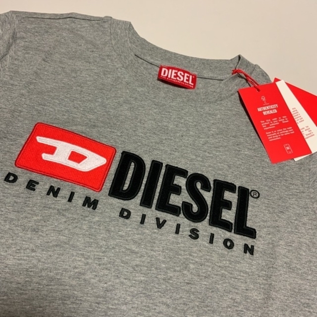 DIESEL(ディーゼル)の洗練されたデザイン　DIESEL　T-REG DIV　Tシャツ　グレー　L レディースのトップス(Tシャツ(半袖/袖なし))の商品写真