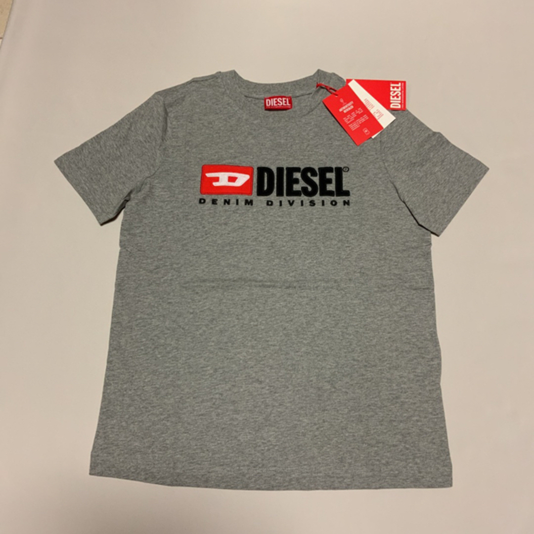 DIESEL(ディーゼル)の洗練されたデザイン　DIESEL　T-REG DIV　Tシャツ　グレー　L レディースのトップス(Tシャツ(半袖/袖なし))の商品写真