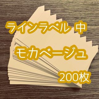 ラインラベル 中 茶 200枚 園芸 カラーラベル エケベリア アガベ 多肉植物(その他)