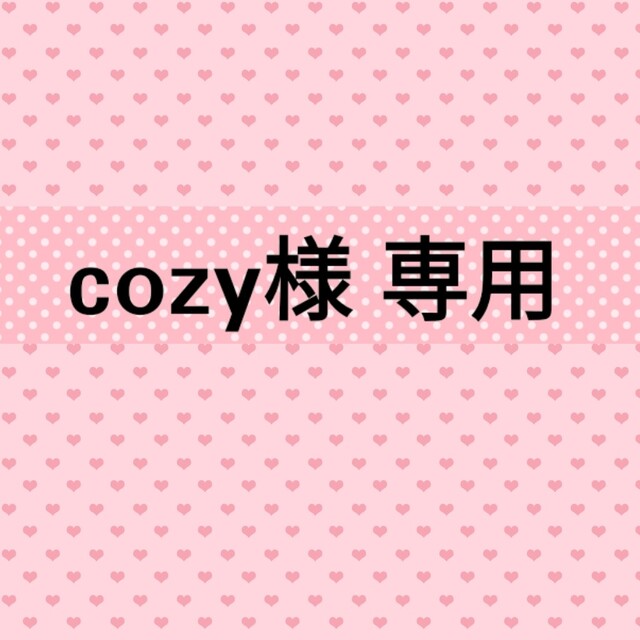 cozy様 専用[ポケモン ワッペン] Ｎｏ．５９３ アイロンワッペンの通販