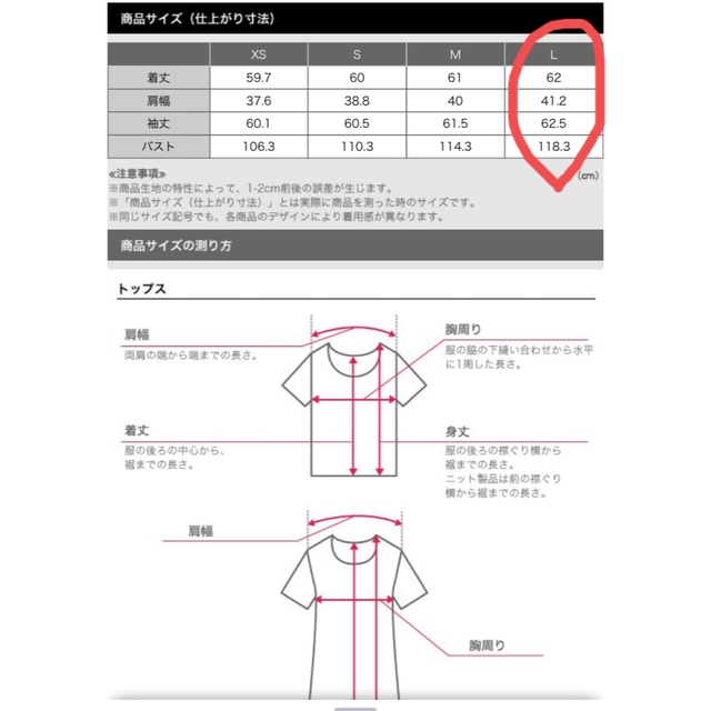 PLST(プラステ)のプラステ　ジョーゼットブラウス レディースのトップス(シャツ/ブラウス(長袖/七分))の商品写真