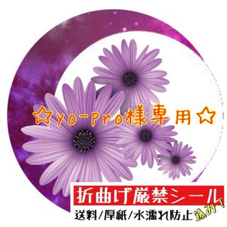 令和4年10月4日と12月6日発行 Lilかんさい スポーツ報知(印刷物)