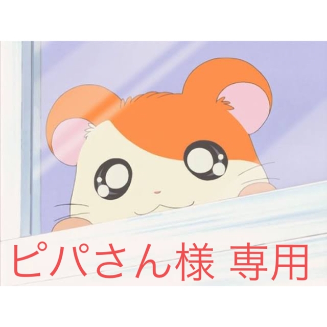iPad - ピパさん様 専用