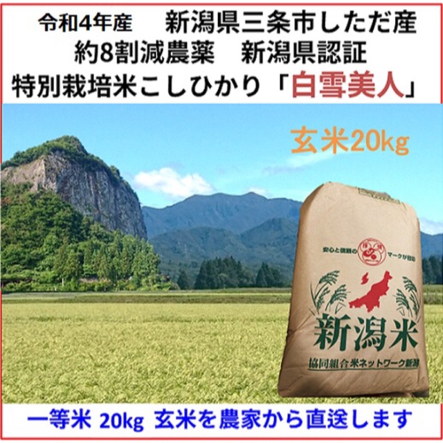 50袋限定　新潟こしひかり玄米20kg　減農薬　新潟県三条市旧しただ村産　特栽米　米/穀物