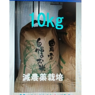 R3年コシヒカリ玄米10kg 三重県産(米/穀物)