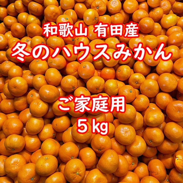 【越冬完熟早生・ご家庭用・サイズ指定可・5㎏】和歌山有田産！冬のハウスみかん 食品/飲料/酒の食品(フルーツ)の商品写真