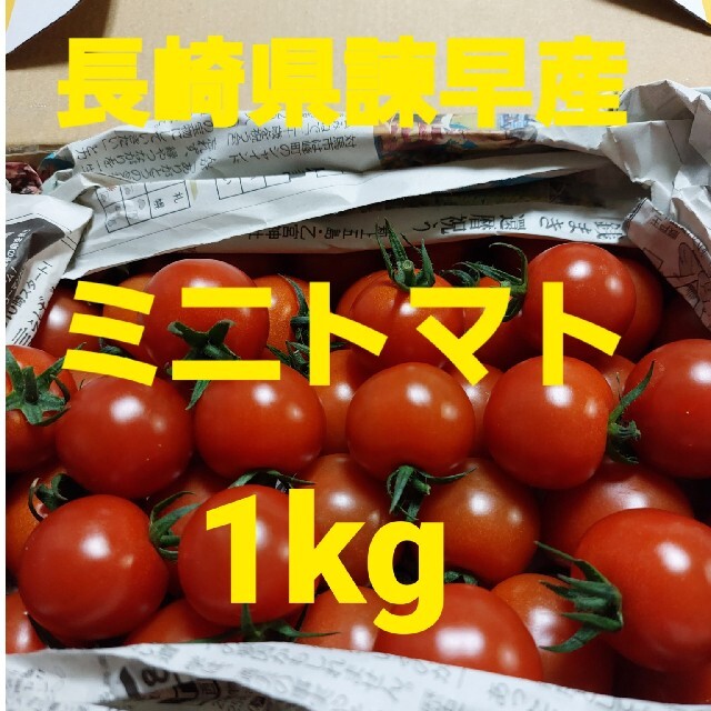 長崎県諫早産ミニトマト1kg 食品/飲料/酒の食品(野菜)の商品写真